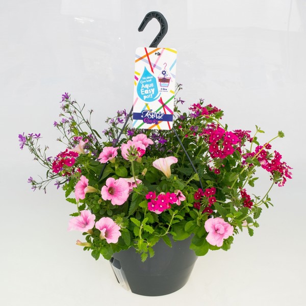 Grote meerkleurige hanging basket - 27 cm (1 stuk)