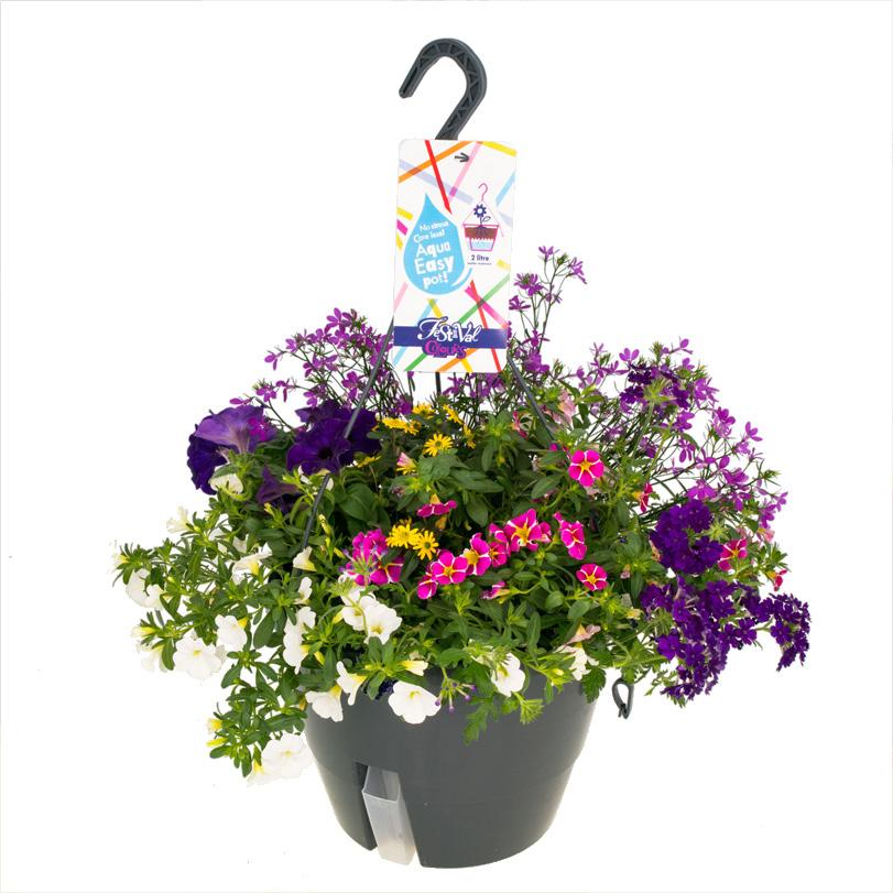 Grote meerkleurige hanging basket - 27 cm (2 stuks)
