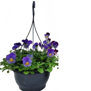 Effen kleurige hanging basket - 23 cm (1 stuk)