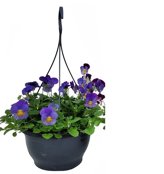 Effen kleurige hanging basket - 23 cm (1 stuk)