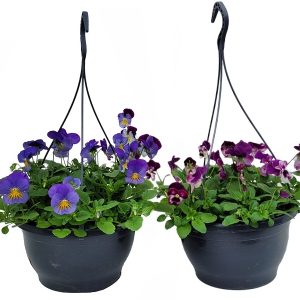 Effen kleurige hanging basket - 23 cm (2 stuks)