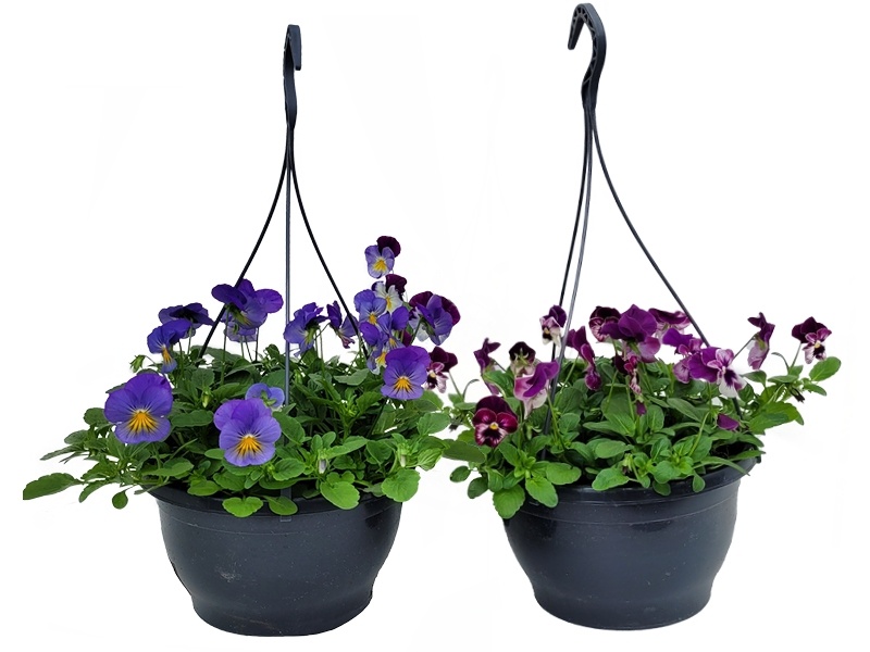 Effen kleurige hanging basket - 23 cm (2 stuks)